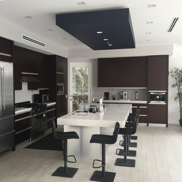 Modern Kitchen Custom Cabinetry