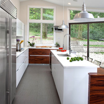 Modern Kitchen Design in NJ