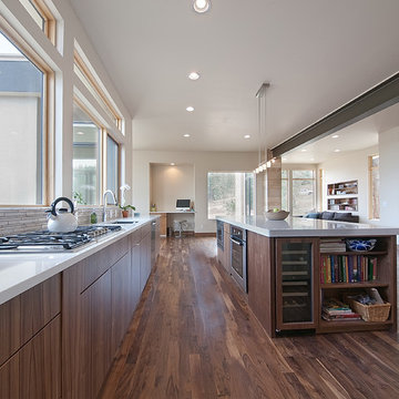 Modern Kitchen