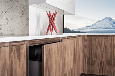 Imagen de cocina minimalista con armarios con paneles lisos, puertas de armario de madera oscura y suelo de madera oscura