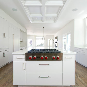 Modern Kitchen Home Remodel Design-Build