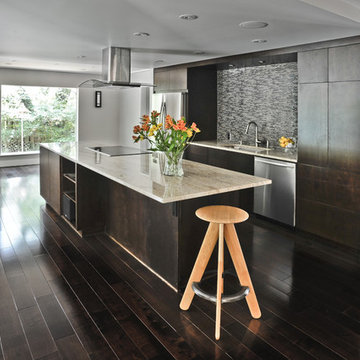 Modern Kitchen