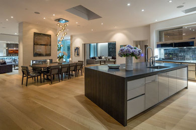 Modern Kitchen in Beverly Hills, CA