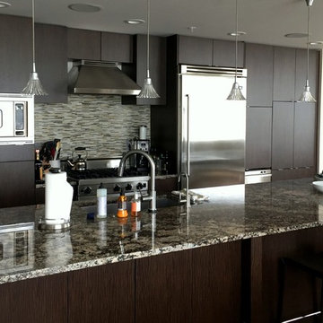 Modern Kitchen in Downtown Tampa