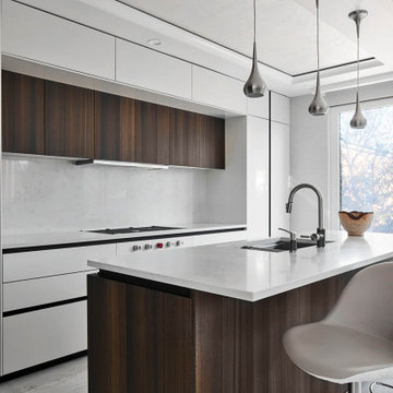 Modern kitchen in Manhattan Beach, Brooklyn