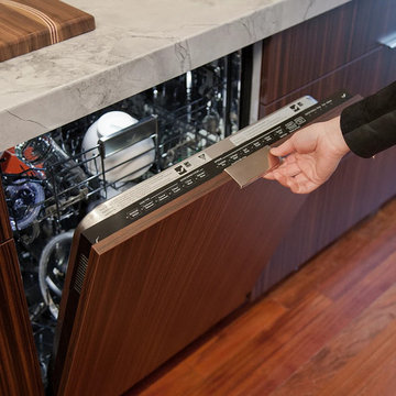 Modern Kitchen in NW DC - Built-in Dishwasher