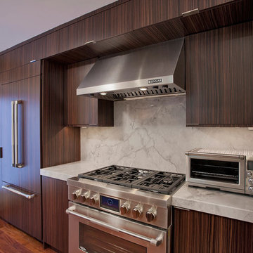 Modern Kitchen in NW DC - Built-in Refrigerator