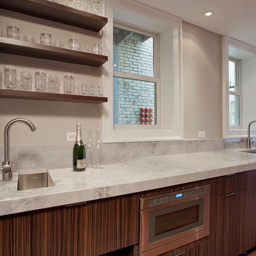 Modern Kitchen in NW DC - Wet Bar and Pet Station