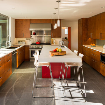 modern kitchen in piedmont
