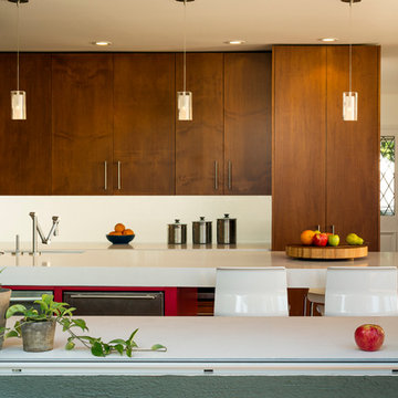 modern kitchen in piedmont