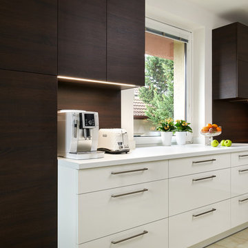 Modern kitchen LINE in family house