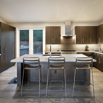 Modern Kitchen - Mid-Century Open Floor Plan with View Deck