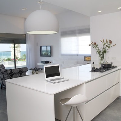 Example of a minimalist open concept kitchen design in Other with flat-panel cabinets and white cabinets