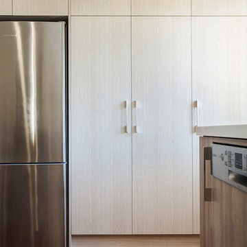 Modern Kitchen Pantry