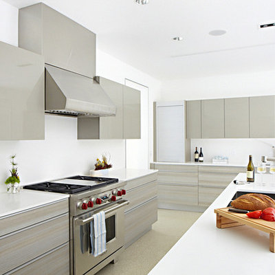 Minimalist l-shaped kitchen photo in Dallas with an undermount sink, flat-panel cabinets and gray cabinets