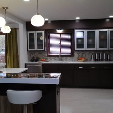 Modern Kitchen Remodel