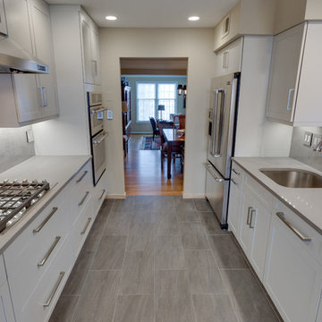 Modern Kitchen Remodel Rockville, MD