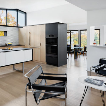 Modern Kitchen Renovation
