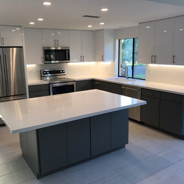 Modern Kitchen Renovation