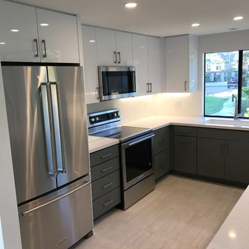 Modern Kitchen Renovation