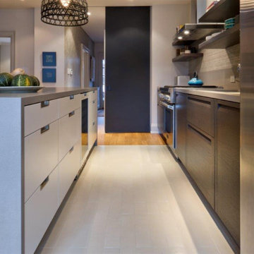 Modern Kitchen (sliding door open)