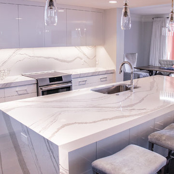 Modern Kitchen Update Done in Acrylic White