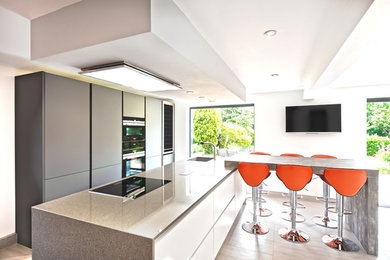 This is an example of a medium sized contemporary galley kitchen in Other with flat-panel cabinets, grey cabinets, granite worktops, integrated appliances, an island, beige floors, grey worktops and a single-bowl sink.