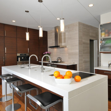 Modern Kitchen with Charisma - Winfield, IL