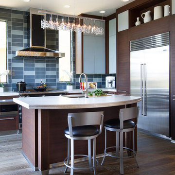 Modern Kitchen with Dark Cabinets