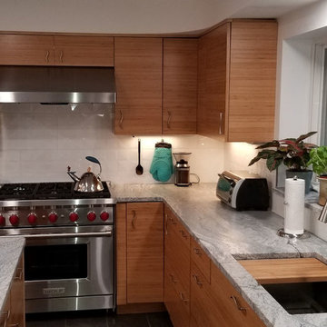 Modern Kitchen with Horizontal Grain Bamboo Cabinets