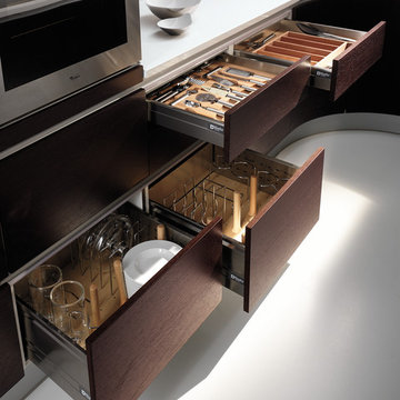 MODERN KITCHENS TIMO WOOD IN SAN DIEGO