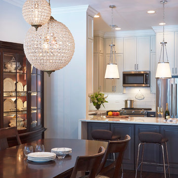 Modern Lincoln Park Farmhouse Kitchen Chicago, IL