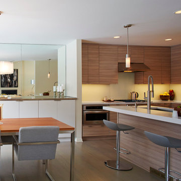 Modern Living Room & Kitchen (Minneapolis, MN)