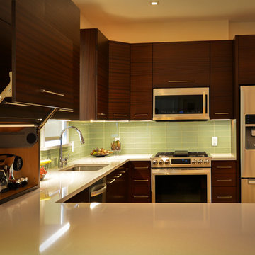 Modern mahogeny  kitchen