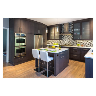 Modern Master Kitchen Remodel in Fairfield, CT - Modern - Kitchen - New  York - by Debra Lipset Designs