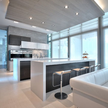 Modern Miami Kitchen Renovation