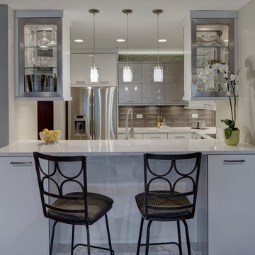 Modern Monochromatic Kitchen - Wheaton, IL