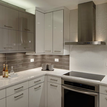 Modern Monochromatic Kitchen - Wheaton, IL