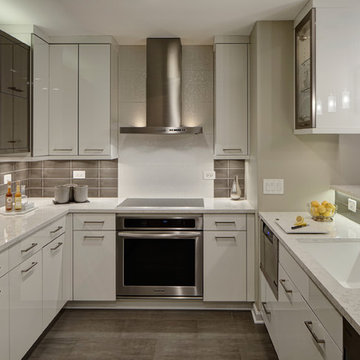 Modern Monochromatic Kitchen - Wheaton, IL