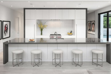 Example of a minimalist kitchen design in Orlando