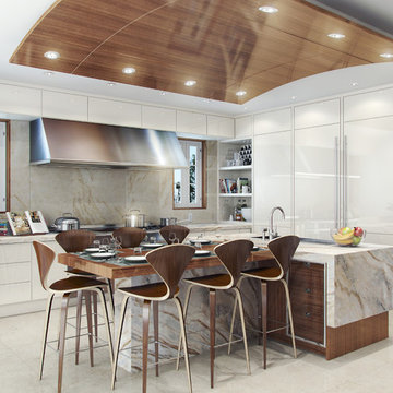 Modern Palm Beach Kitchen