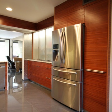 Modern Pull Out Pantry