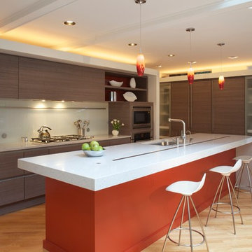 Modern Red Kitchen