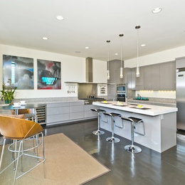 https://www.houzz.com/photos/modern-residence-in-the-trees-contemporary-kitchen-san-francisco-phvw-vp~4123761