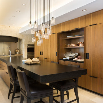 Modern Scientist Residence