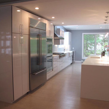 Modern Sleek Kitchen
