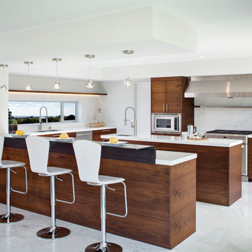 Modern Solana Beach