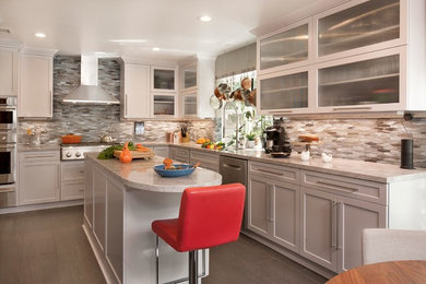 ロサンゼルスにあるトランジショナルスタイルのおしゃれなキッチン (シェーカースタイル扉のキャビネット、グレーのキャビネット、マルチカラーのキッチンパネル、シルバーの調理設備、グレーの床、グレーのキッチンカウンター) の写真