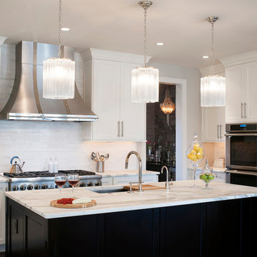 Modern White Kitchen in Haverford