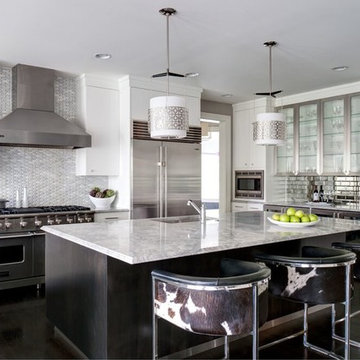Modern White Kitchen with Stainless steel and Marble Countertop